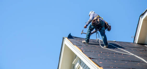 Best Commercial Roof Installation  in Scobey, MT